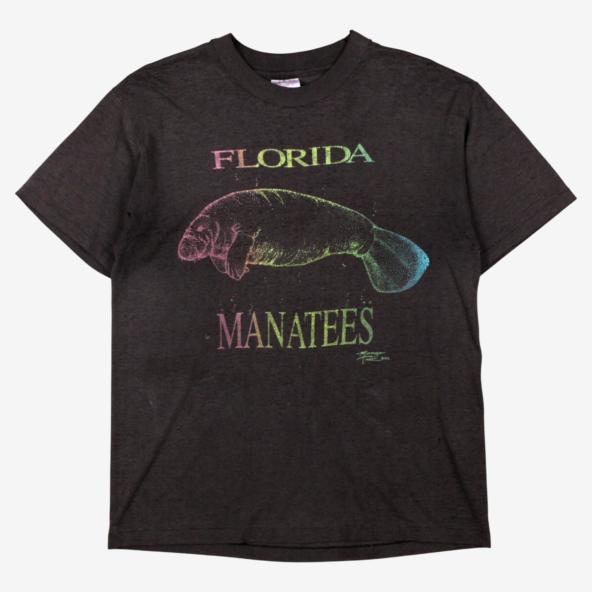 Vintage Hanes T-Shirt L Mens 90s Grey Florida Manatees 50/50 Single Stitch