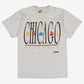 Vintage Fruit Of The Loom Chicago T-shirt M Mens 90s Grey Single Stitch