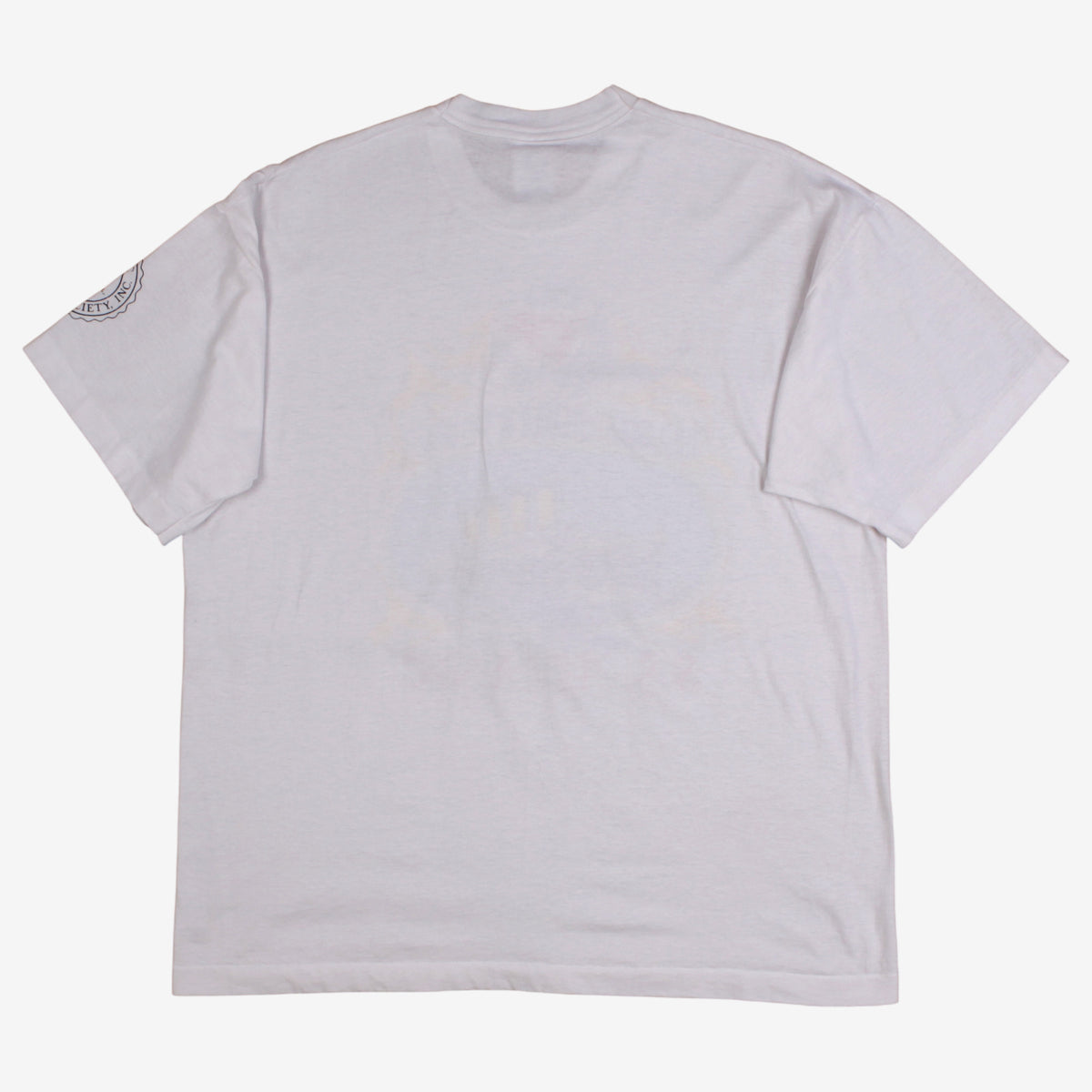 Vintage Fruit Of The Loom T-shirt XL Mens 90s White Titanic Single Stitch