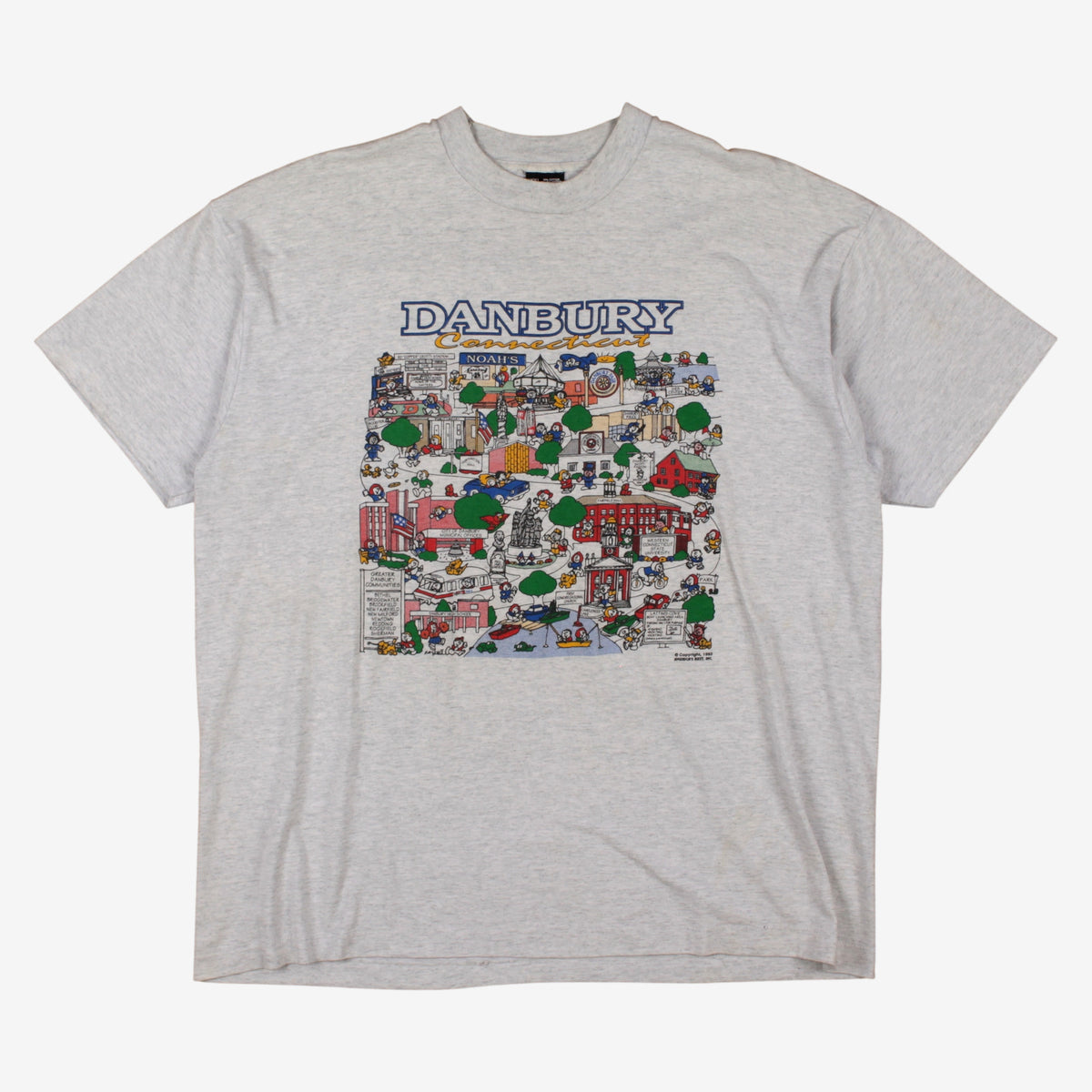 Vintage Fruit Of The Loom T-shirt 2XL Mens 00s Grey Danbury City Single Stitch