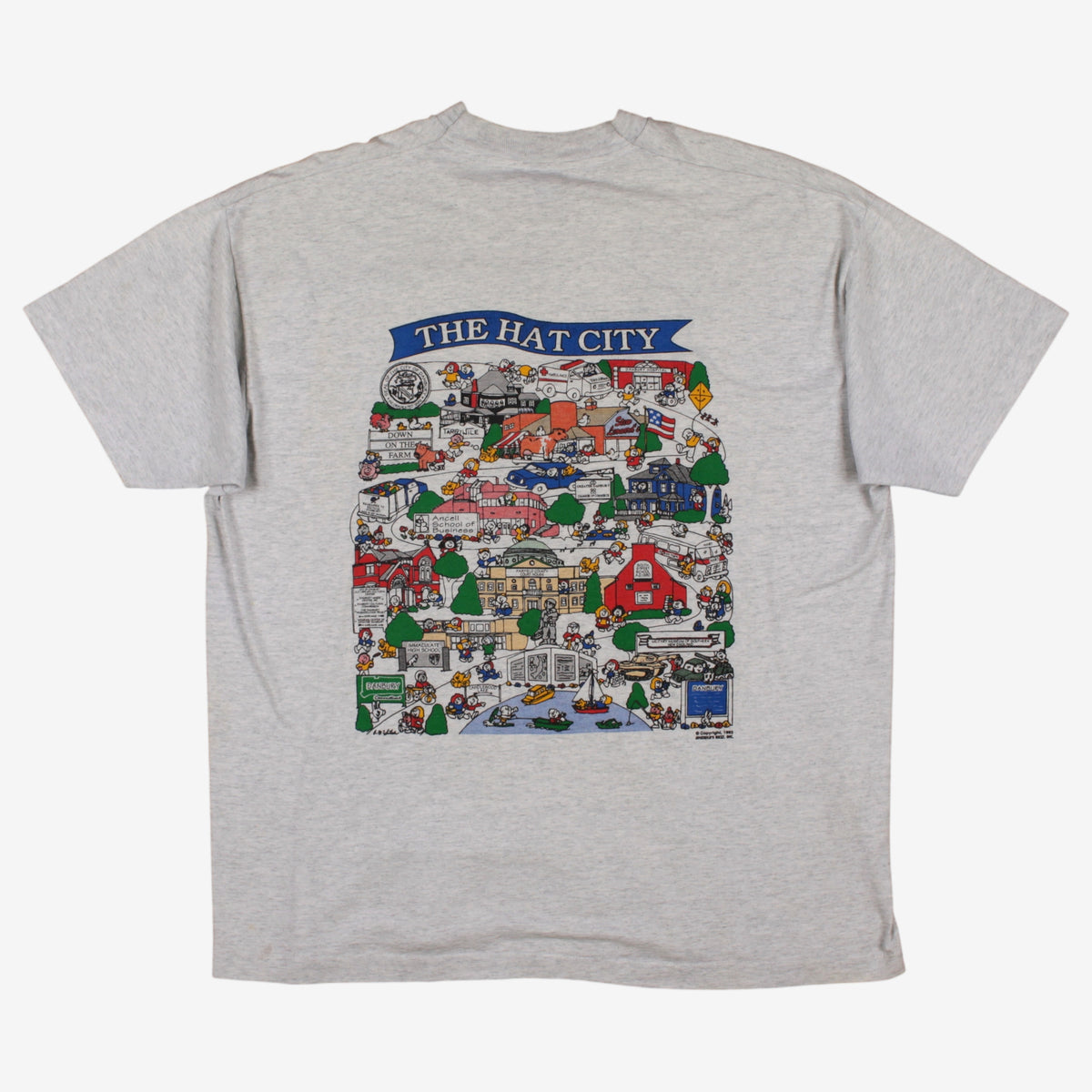 Vintage Fruit Of The Loom T-shirt 2XL Mens 00s Grey Danbury City Single Stitch