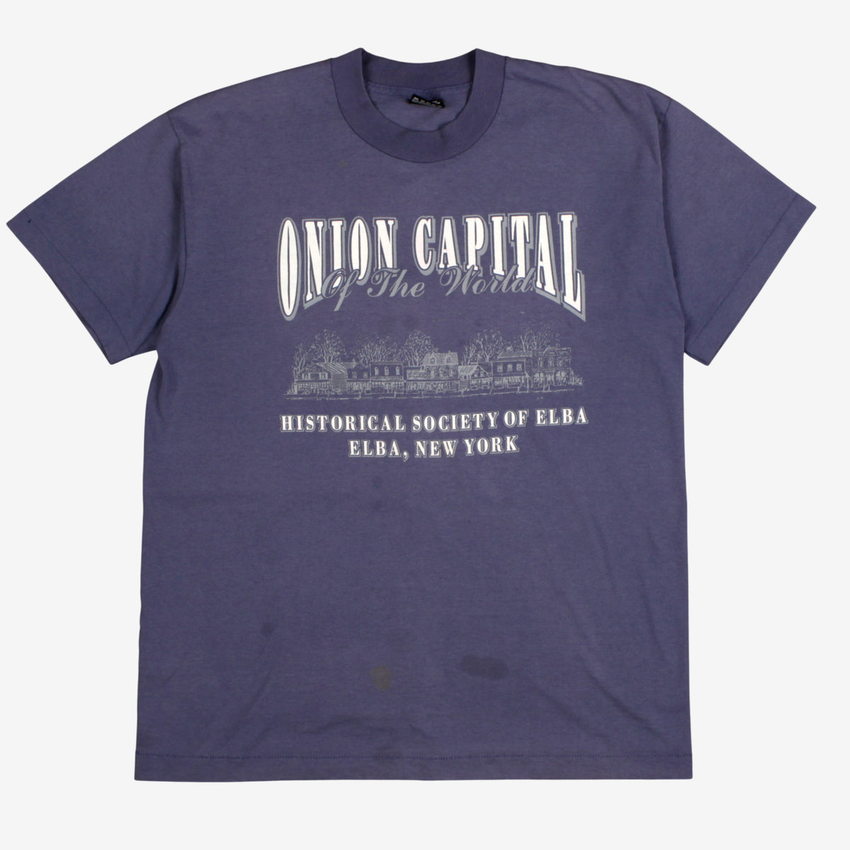 Vintage Fruit Of The Loom T-shirt M Mens 00s Blue Onion Capital Single Stitch