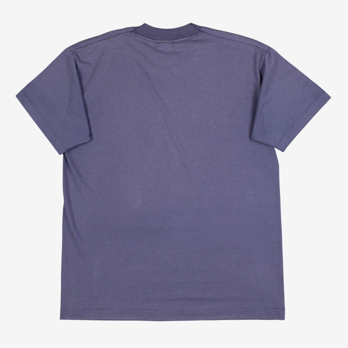 Vintage Fruit Of The Loom T-shirt M Mens 00s Blue Onion Capital Single Stitch
