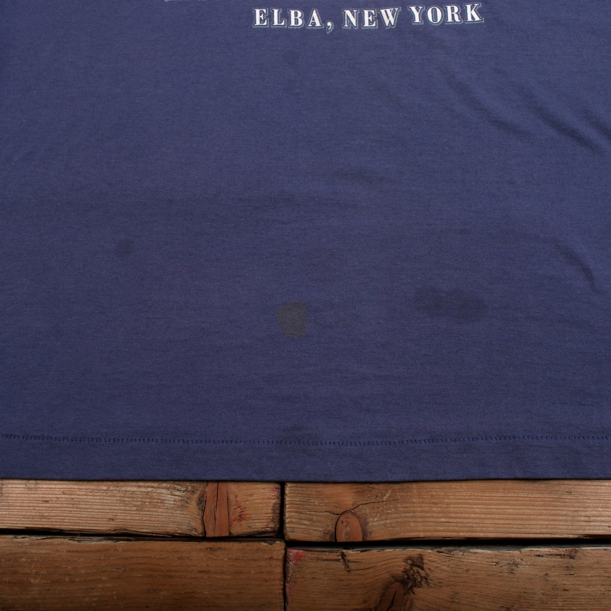 Vintage Fruit Of The Loom T-shirt M Mens 00s Blue Onion Capital Single Stitch