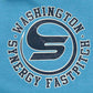 MEN'S VINTAGE RUSSELL ATHLETIC WASHINGTON SYNERGY FASTPITCH HOODED SWEATSHIRT - MEDIUM