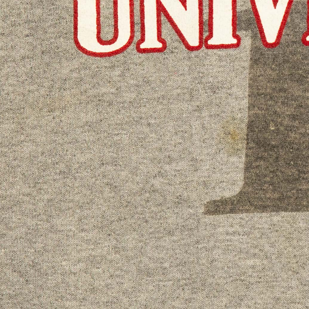 MEN'S VINTAGE RUSSELL ATHLETIC DIXIE STATE UNIVERSITY HOODED SWEATSHIRT - LARGE