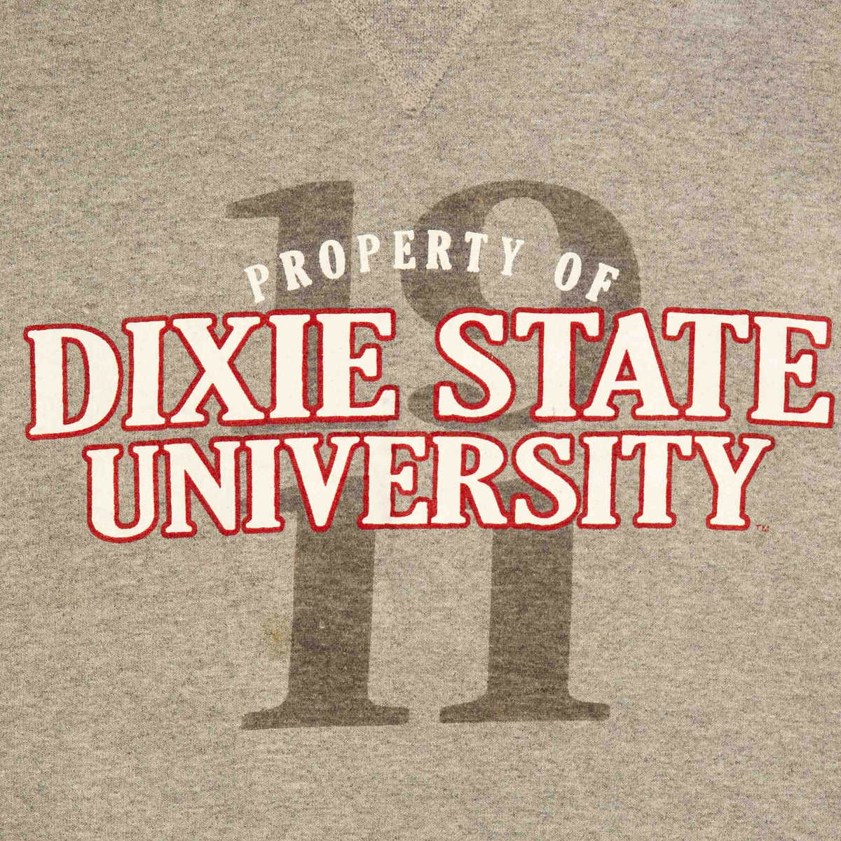 MEN'S VINTAGE RUSSELL ATHLETIC DIXIE STATE UNIVERSITY HOODED SWEATSHIRT - LARGE