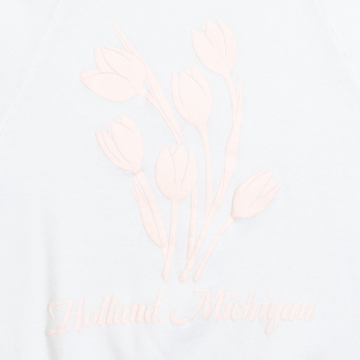WOMEN'S VINTAGE 1990S HOLLAND MICHIGAN RAGLAN SWEATSHIRT - MEDIUM