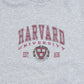 MEN'S VINTAGE 1990S HARVARD UNIVERSITY HOODED SWEATSHIRT - X-LARGE